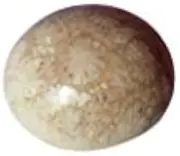 [INDIA MADE] Natural Chakrankit Dwarka Stone 16.2Ct For Ring Size-B08WJBFCPJ, Silver, Created Sapphire, Silver, Created Sapphire