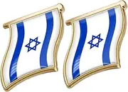 [BESTYASH] 2pcs Israel Brooch Enamel Lapel Pin Flag Pin Israel Badge Patriotic Enamel Badge Star of David Lapel Pin Israeli Flag Badge US Israel Flag Lapel Pin Israel Flag Brooch Pin Alloy
