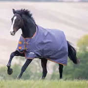 Shires Tempest Original 200g TO