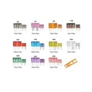 250x Standard Mini Car Fuse Assortment Assorted Kit Blade For Truck Motorcycle (for: Mini)