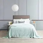 Heston Sherpa Velvet Blanket Blue