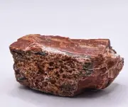 70g Rainbow Petrified Wood Rough Natural Fossil Agate Crystal Mineral - Arizona