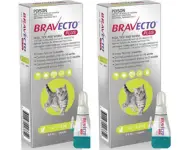 Bravecto Plus for Small Cats (1.2-2.8kg) Green x 2 pack