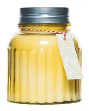 Barr-Co. Soap Shop Lemon Verbena Apothecary Jar Candle