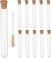 10 Pack Glass Test Tubes with Cork Stoppers and Brush, Mini Glass Bottles Jars for Scientific Experiments, Liquid Storage, Candy, Spices, Beads, Mother's Day Home Decor 20x150mm