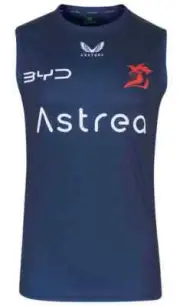 Sydney Roosters 2025 NRL Mens Training Singlet Sizes S-7XL BNWT