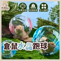 在飛比找蝦皮購物優惠-【沐沐Pet's】倉鼠球 現貨 倉鼠水晶跑球 滾球 倉鼠運動