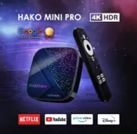 在飛比找露天拍賣優惠-【艾爾巴數位】HAKOmini PRO 智慧電視盒 4G/3