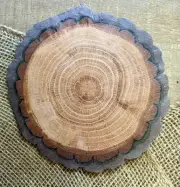 L-028-Wood Log Design Paper Napkins For Decoupage Junk Journal Crafting