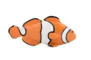 Clownfish, Realistic Toy Figure, Model, Replica Statue 4.5" CH466 BB151