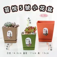 在飛比找momo購物網優惠-【品屋】芸悅5號小花盆(方形盆 多肉盆 小花盆 迷你花盆 含