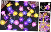 Flower Lights Cute Fairy String Lights Floral Room Decor Night Lights USB Plug