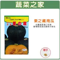 在飛比找Yahoo!奇摩拍賣優惠-【蔬菜之家】G47.栗子南瓜種子1顆(栗の藏)(日本進口.F