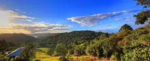 馬樂熱帶度假勝地Maleny Tropical Retreat