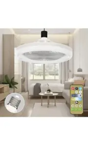 Greeflam Small Modern Ceiling Fan with Lights Remote Controll, 10 Inch Enclosed