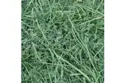 Lucerne Pet Hay