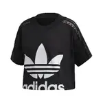 ADIDAS T恤 CROPPED LACE TEE 短版 女款 FM1738