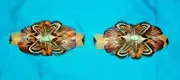 Set 2 Med Feathered Barrettes Pheasant Feathers & Turquoise FREE SHIPPING MBS10