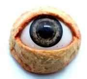 Halloween Prop Realistic Life Size Eye DOT third eye, masks, JEWELRY Gray FN04