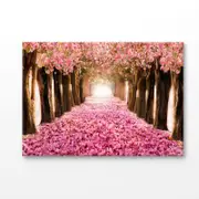 Pink Blossom Trees With Sun Light Print 100% Australian Made 90x60cm (Stretched Canvas)