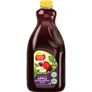 Golden Circle Apple Blackcurrant No Added Sugar Fruit Juice 2L