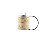 Oil Filter For 1953 Ford F100 3.9L V8 BP835WN Engine Oil Filter (for: Ford)