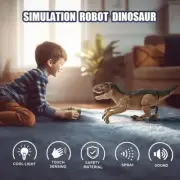 Emulate Dinosaur Remote Control Function Touch Sensing Parent Child Toys Series