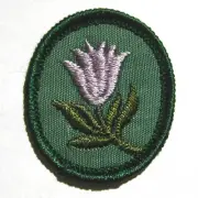 Vintage Oval 1960-1974 Girl Scout CROCUS TROOP CREST Purple Flower Badge Patch