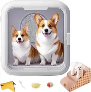 6D Surround Pet Dryer Box - Ultra Quiet, Detachable Calming Window & for Cats, Small & Medium Dogs