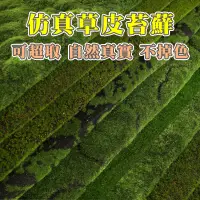 在飛比找蝦皮購物優惠-【仿真草坪】仿真植物牆 米蘭花尤加利綠植草坪 室內裝飾背景墻