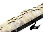 Feather French Partridge on Fringe (Price per 1m) - Natural - Craft Millinery...