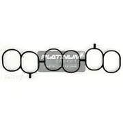 Platinum Plenum Chamber Gasket - PC625
