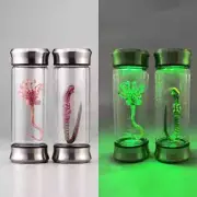 Alien Xenomorph Specimen Embryo Glass Jar Movie Replica Home Decor Desktop
