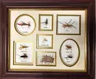 8 Framed and Mounted Flies