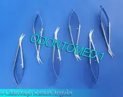6 O.R Grade Castroviejo Micro Surgery Round Ophthalmic Scissors 5.5" Angular