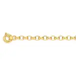 9ct Gold 21cm Solid Oval Belcher Bolt Ring Bracelet