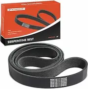 Belt Replacement for Freightliner Condor 2002-2006 Peterbilt 330 Serpentine, 8.3L 8.9L 10.3L 12.0L
