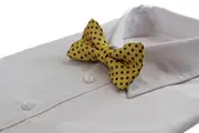 Mens Yellow, Red & Navy Flower Pattern Bow Tie