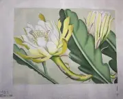 Melissa Shirley Needlepoint Handpainted Canvas / Vintage Cactus #1954
