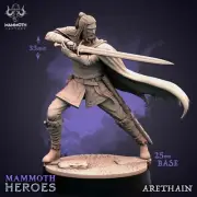 Arethain | DnD Miniature | TTRPG Miniature