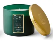 PLACE & TIME - Scented Jar Candle Fresh Cut Garland Citrus & Musk 15 Oz -