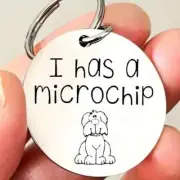 Pet Microchip Keyring - "I Has A Microchip" Engraved Stainless Steel Dog Tag