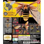 全新 BANDAI 胡蜂造型轉蛋 轉蛋 扭蛋 造型轉蛋 環保扭蛋 - 胡蜂 虎頭蜂 大虎頭蜂 黃色胡蜂 蜜蜂(單售)