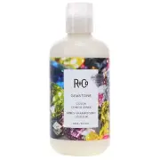 R+CO Gemstone Color Conditioner 8.5 oz