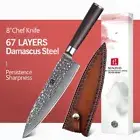 Chef Knife 67 Layers Japanese Damascus Steel Wood Handle Hammered Slicing Gyuto