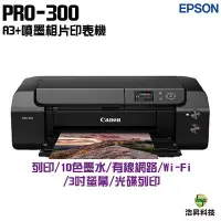 在飛比找Yahoo!奇摩拍賣優惠-Canon imagePROGRAF PRO-300 A3+