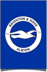 Desert Cactus Brighton & Hove Albion Poster BHAFC Seagulls Football Club Soccer 11 inches by 17 inches Decoration Room Official Fan Gear (11x17) (Design B, Paper)