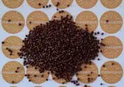 Guinea Pepper, Dried Grains Of Paradise Whole Spice Melegueta Peppercorns