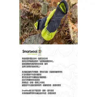 【SmartWool 美國】女款 NTS 250長袖上衣 三色 美麗諾羊毛衣/保暖內著衣/羊毛內層衣 SW016370