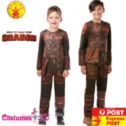 Child How to Train Your Dragon 3 Hiccup Costume Boys Kids The Hidden World New